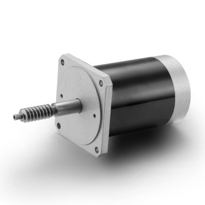 Ρυθμίσιμη ταχύτητα και αντίστροφος 24V 100W βουρτσισμένος κινητήρας συνεχούς ρεύματος για μαύρα βιομηχανικά μηχανήματα