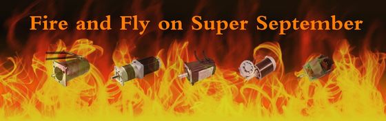 IE 2 Απόδοση 5kw Brushless DC Motor για ηλεκτρικές μοτοσυκλέτες Μεγάλη ροπή 1-80KG.CM