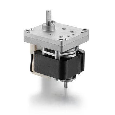 61mm 50Hz/60Hz AC Ηλεκτρικός κινητήρας 30W 110V/220V Σκιωτό μετατροπέα στύλος κινητήρας AC με άξονα D