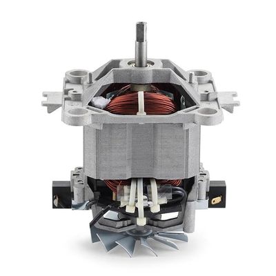 110v/220v Μηχανή τροχαίου υψηλής ροπής χαμηλής ταχύτητας για τροχαίο με ονομαστική ροπή 0,6Nm 0,7Nm