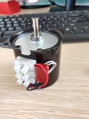 1KG Δυνατότητα φόρτωσης 220V CW CCW AC Σύγχρονος κινητήρας με 804w ισχύς εξόδου