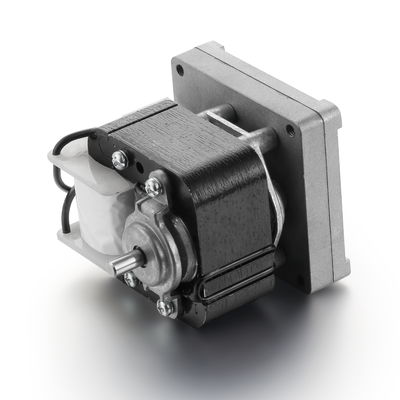 Υψηλή ταχύτητα 240V 10W/30W Σκιωτό στρώμα πεζοδρόμιο κινητήρα AC 3000rpm 50Hz/60Hz χαμηλός θόρυβος